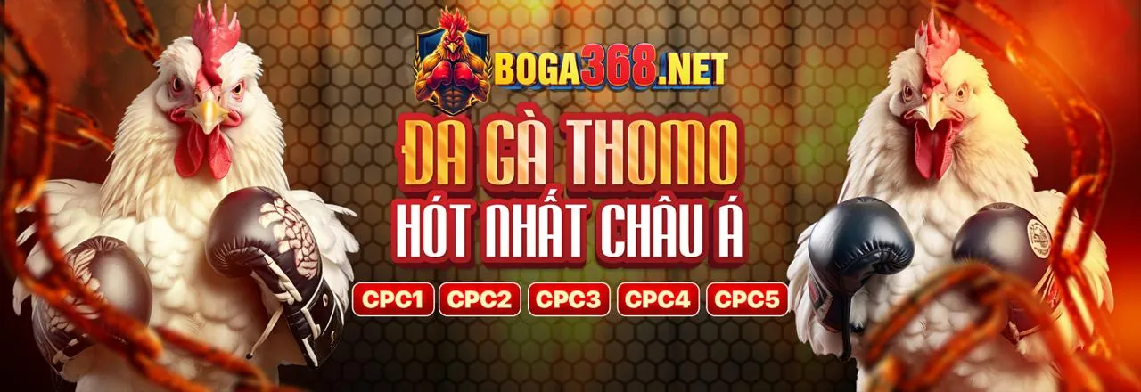 Đá Gà Trực Tuyến tại 567win nhà cái