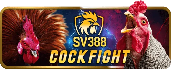 Cấp độ VIP Bạc tại 567win nhà cái